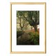 Photo Frame A4 Winter Solid Pine