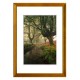 Rāmis fotogrāfijām Spring A4 koks