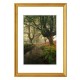 Rāmis fotogrāfijām Spring A4 koks