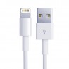 Lightning to USB kabelis 1 m, Apple