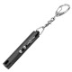 Laser Pointer 2-in-1, Ansmann