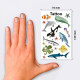 Tattoo Stickers 56765, Avery Zweckform