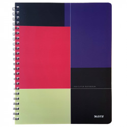 Project Notebook Leitz Executive A4 Ruled, wirebound with PP cover