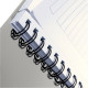 Project Notebook Leitz Executive A4 Ruled, wirebound with PP cover