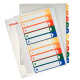 Index PC Printable Esselte PP A4+