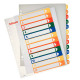 Index PC Printable Esselte PP A4+