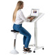 Sun-Flex® Easydesk Pro