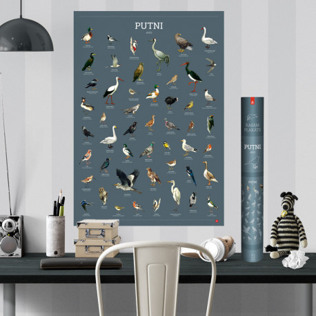 Scratch-off poster Birds of Latvia