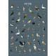Scratch-off poster Birds of Latvia
