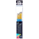 Professional Brush Set 6pcs., Nassau Fine Art