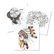 Colouring Book Wild 2, Avenue Mandarine