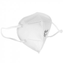 Protective Respirator FFP2 2pcs