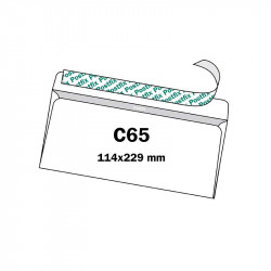 Envelope C65