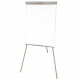 Esselte Economy Tripod Easel Melamine