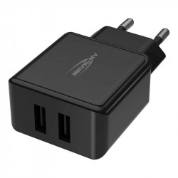 2 x USB Charger (110-220V), Ansmann