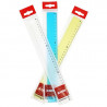 Plastic Ruler 30 cm ICE