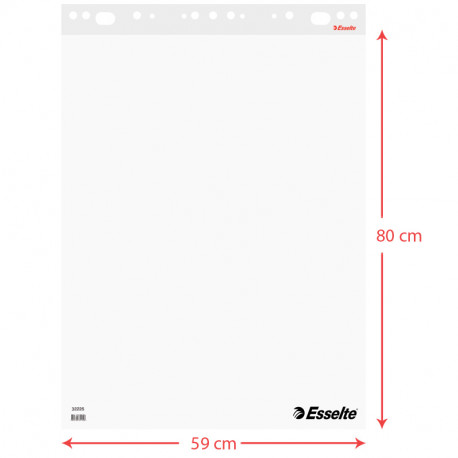 Esselte Flipchart pad 59x80cm 60 gsm 50 sheets