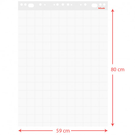 Rūtiņu papīra bloks tāfelei 59x80cm 60g/m² 50 lapas, Esselte