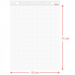 Esselte Flipchart pad economy 55x71cm 60 gsm 50 sheets