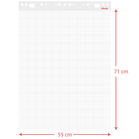 Esselte Flipchart pad economy 55x71cm 60 gsm 50 sheets