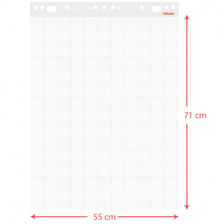 Rūtiņu papīra bloks tāfelei 55x71cm 60g/m² 50 lapas, Esselte