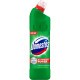 Dezinfekcijas līdzeklis Domestos Extended Power 750ml, Unilever