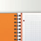 Oxford International FilingBook, A4+, squared