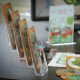 Brochure Holder 4x⅓A4, Europel