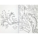 Colouring & Activity Book Jungle 64 Pages, Grafix