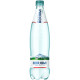 Carbonated Mineral Water Borjomi 750ml PET