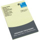 Sticky Notes Ruler/Squared 10x15cm 100lp., Info Notes