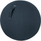 Sēžambumba Ergo Cosy Active ⌀65cm, Leitz