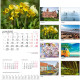 Wall Calendar Bonus, Balts