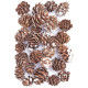 Mini Pinecones Whitened 25g, DP Craft