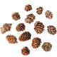 Mini Pinecones 25g, DP Craft