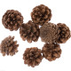 Pinecones 25g, DP Craft