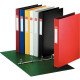 Ring Binder Esselte Vivida A4 4RR/25 mm