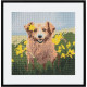 Dimantu glezna Suns 30x30cm, Craft ID