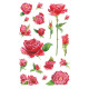 Uzlīmes 54337 (rozes), Avery Zweckform