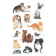 Stickers 53574, Avery Zweckform