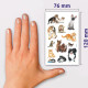 Stickers 53574, Avery Zweckform