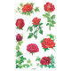 Uzlīmes 54261 (rozes), Avery Zweckform