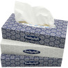 Cosmetic Tissues Bulky Soft 2-Ply 100pcs.