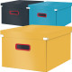 Storage Box Click & Store Cosy Medium, Leitz