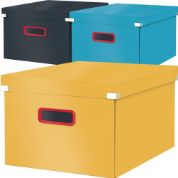 Storage Box Click & Store Cosy Medium, Leitz