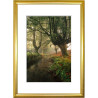 Photo Frame A4 Gold Color Plastic