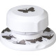 Craft Punch Flexi Butterfly, Heyda