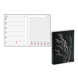 Quadro Trend Grass
