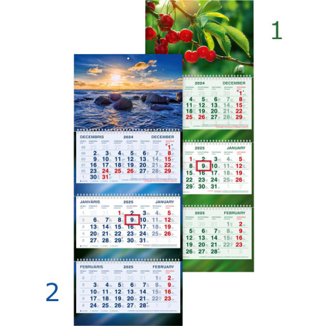 Wall Calendar Standart Plus, Trilines