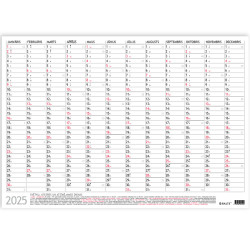 Calendar Optima A2, Balts